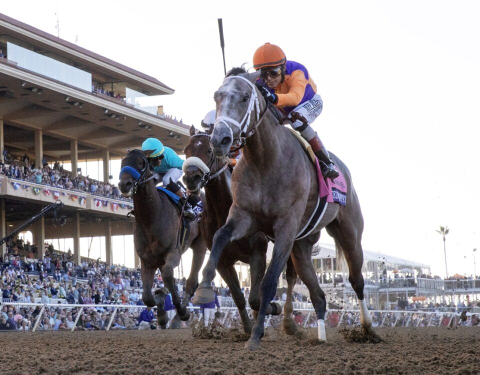 Ted Noffey - BC Juvenile - Debra A Roma - Daily Racing Form