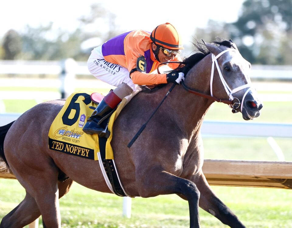 Ted Noffey - Coady Media