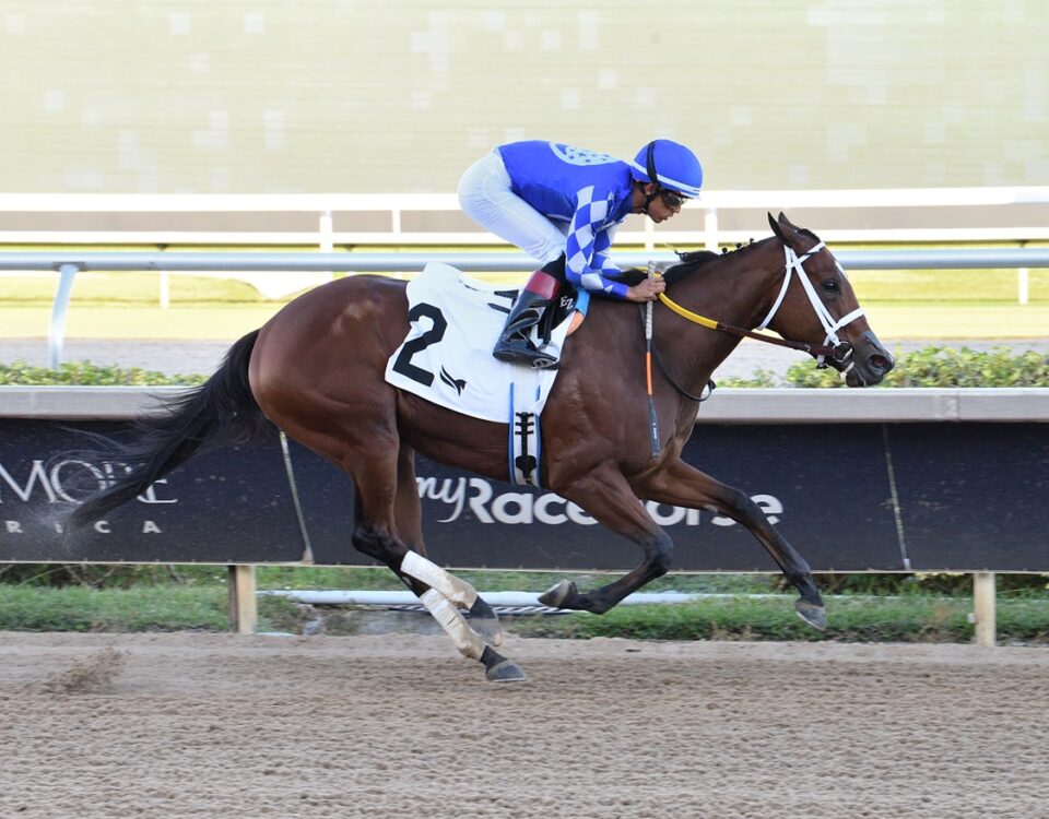 Tessellate - Juvenile Fillies Sprint Stakes - Lauren King/Coglianese Photo