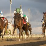 Woodbine action - Michael Burns Photo