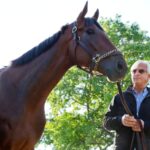 American Pharoah & Bob Baffert - Barbara D. Livingston - Daily Racing Form
