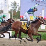 Big Cuddle - Bill Denver/MJC