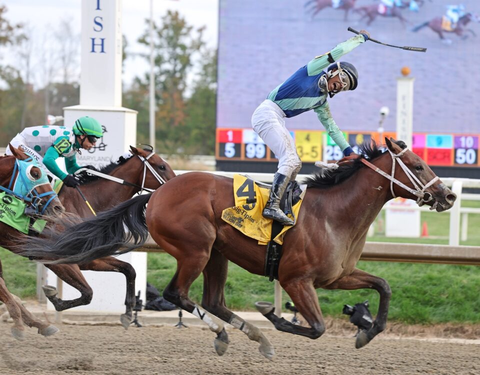 Big Cuddle - Bill Denver/MJC