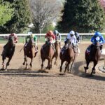 Toyota Blue Grass G1 action - Coady Media