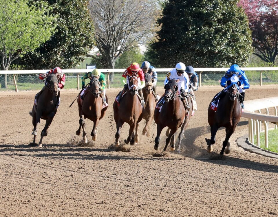 Toyota Blue Grass G1 action - Coady Media