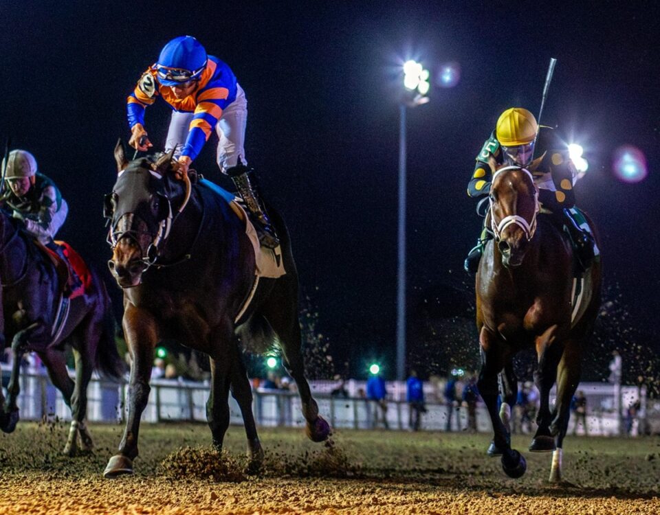 Chip Honcho - Gun Runner Stakes - Hodges Photography/ Amanda Hodges Weir