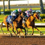 Consequent - Starlet Stakes G2 - Benoit Photo