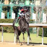 D'Code - photo credito - Coady Media