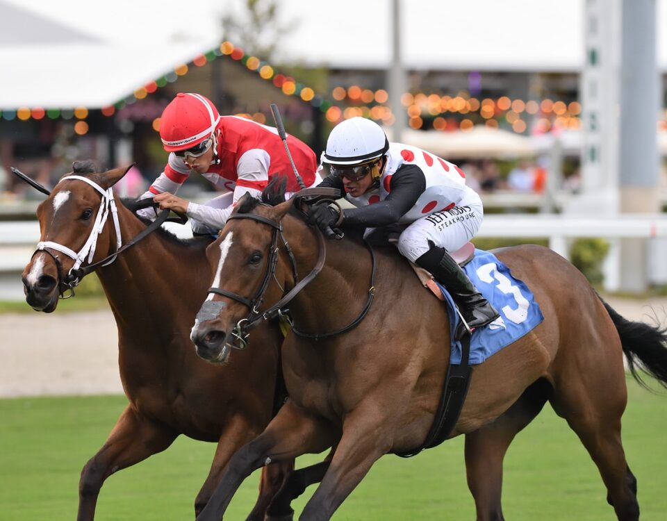 Destino d'Oro - the Tropical Park Oaks - credit Ryan Thompson - Coglianese Photo