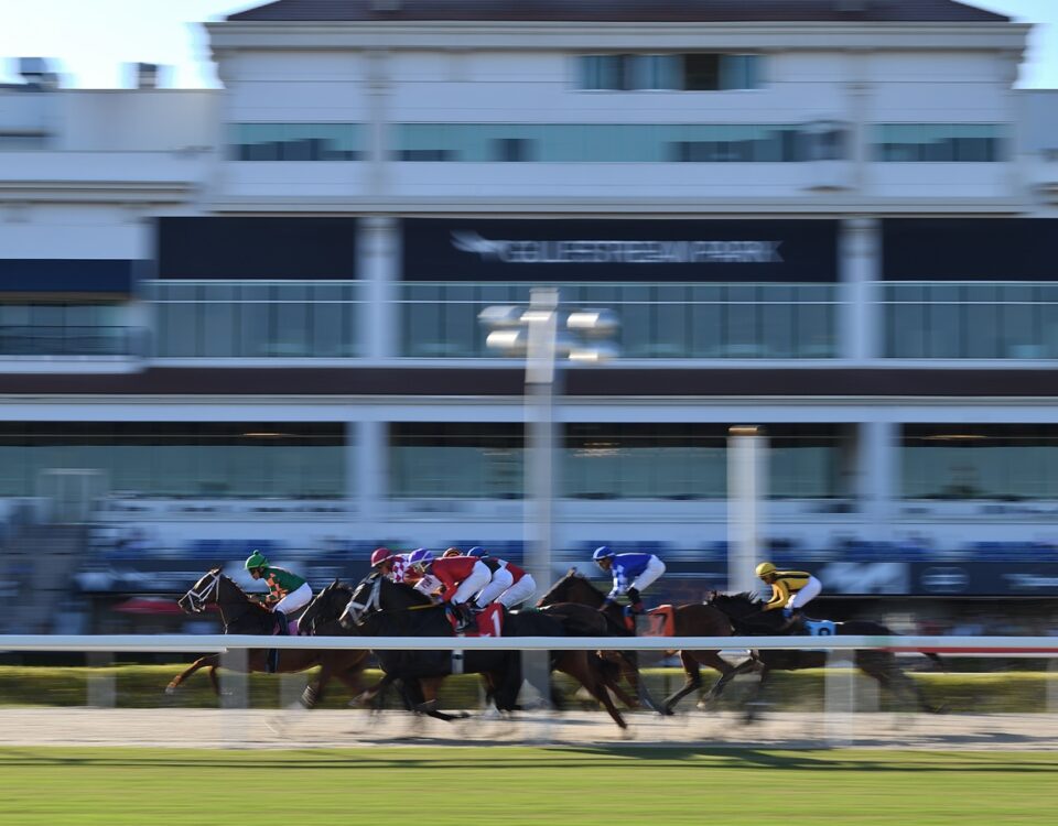 Gulfstream Park scenic - Ryan Thompson/Coglianese Photo