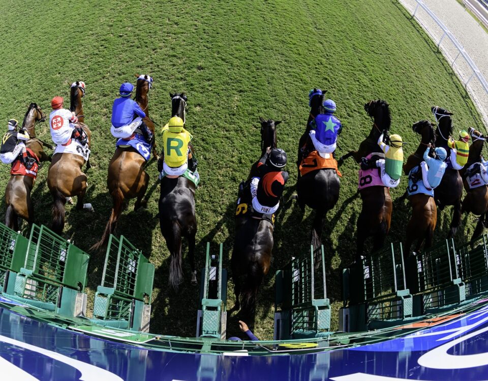 Gulfstream turf gate scenic - Ryan Thompson/Coglianese Photo