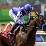 Himika - Sorrento G3 - Benoit Photo