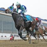 Hollywood Import - Heft Stakes - Jeffrey Snyder f/ TMJC