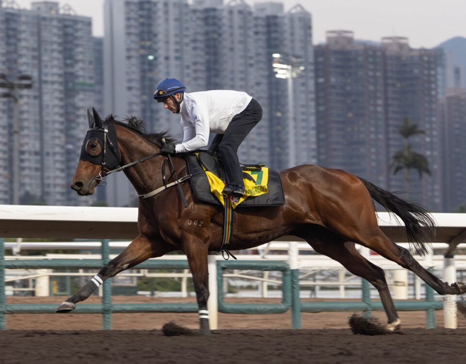 Ka Ying Rising - Hong Kong Jockey Club
