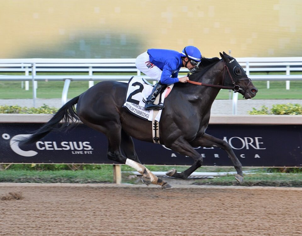 Knightsbridge - Mr Prospector G3 - Lauren King - Coglianese Photo