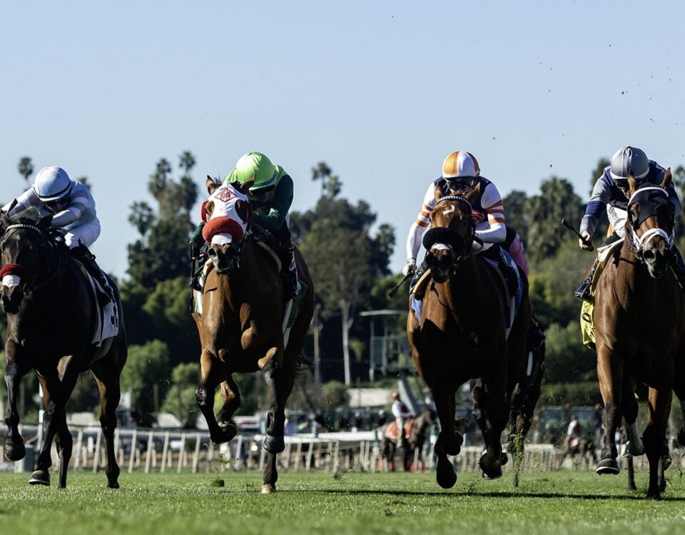 Santa Anita Park, Arcadia CA..© BENOIT PHOTO