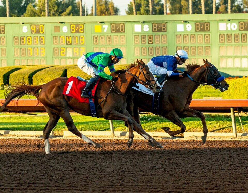 Liberation - Soviet Problem Stakes $100,000 - Los Alamitos Race Course - Benoit Photo