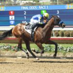 Litmus Test - Benoit Photo