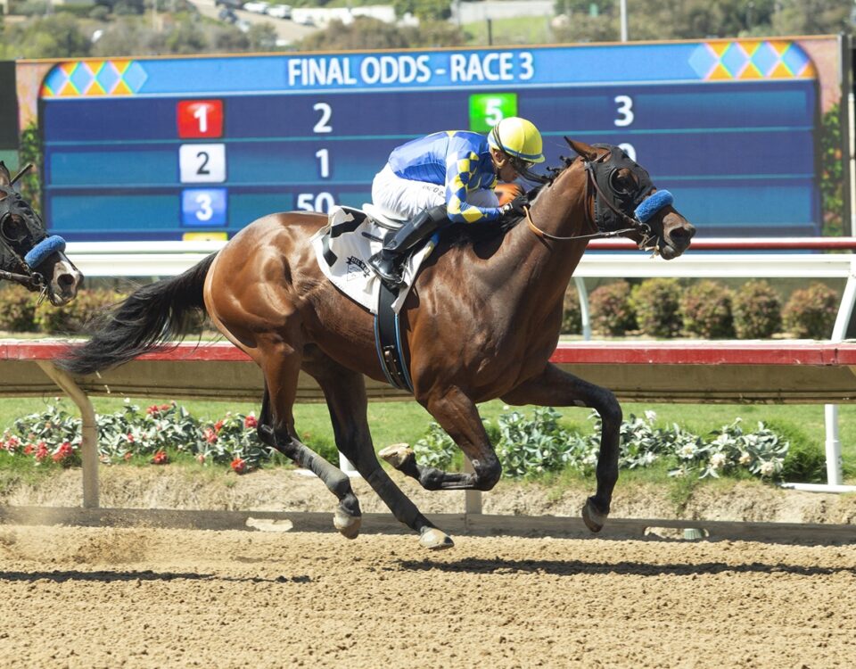 Litmus Test - Benoit Photo