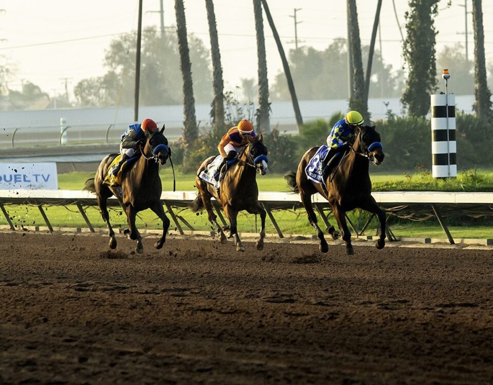 Litmus Test - Los Alamitos Futurity G2 - Benoit Photo