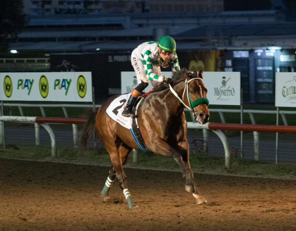 Lodyto Race - Clasico Internacional del Caribe - Hipódromo Presidente Remon - Crédito: Juan Carlos Velázquez