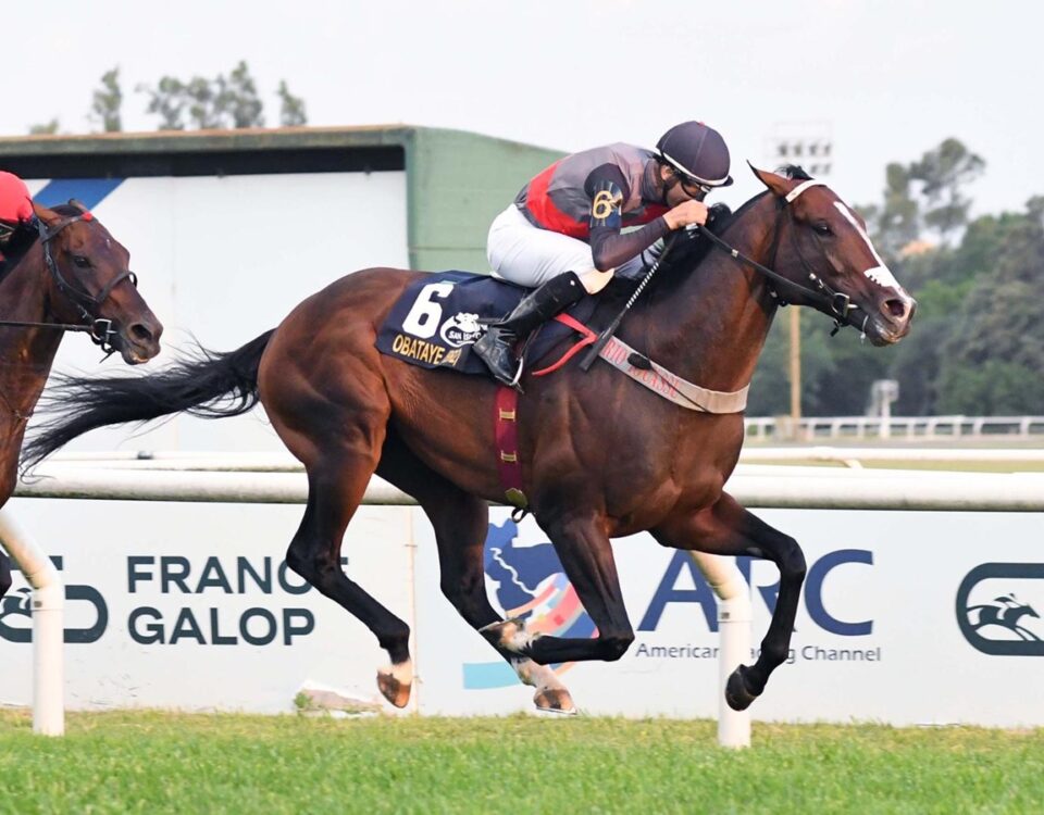 Obataye - Gran Premio Carlos Pellegrini - Foto: Prensa Hipodromo San Isidro