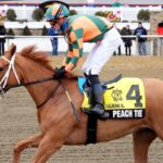 Peach Tie - Gin Talking Stakes - Jeffrey Snyder f/ The Maryland Jockey Club