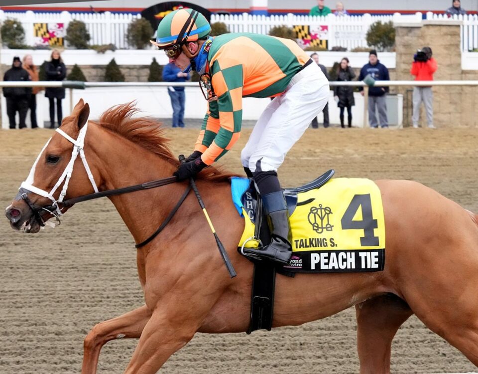 Peach Tie - Gin Talking Stakes - Jeffrey Snyder f/ The Maryland Jockey Club