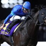 Pyromancer - Zen Nippon Nisai Yushun Stakes - Credit: Kentucky Derby PR and Communications