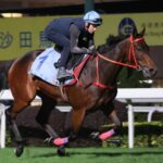 Romantic Warrior workout - Hong Kong Jockey Club