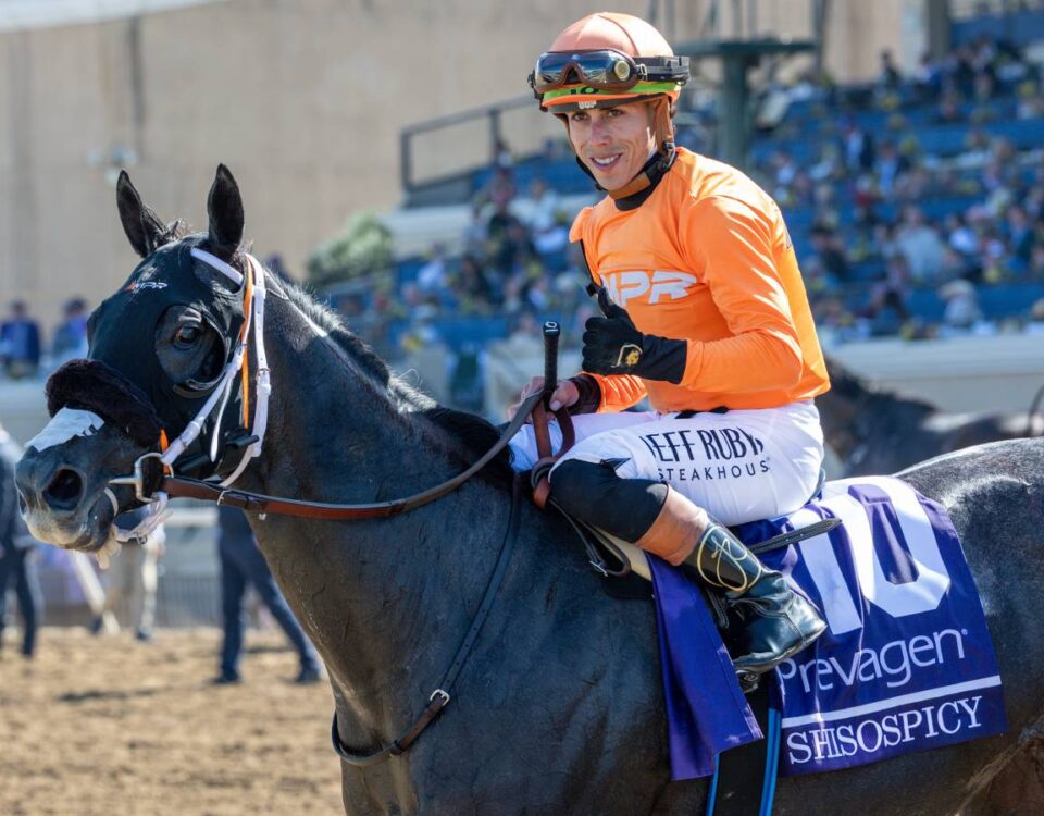 Shisospicy - Irad Ortiz Jr - Debra A. Roma - Daily Racing Form