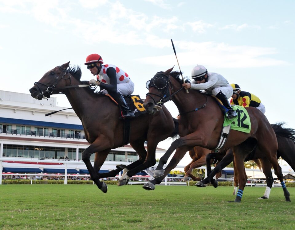 Souper Forces - Ryan Thompson/Coglianese Photo