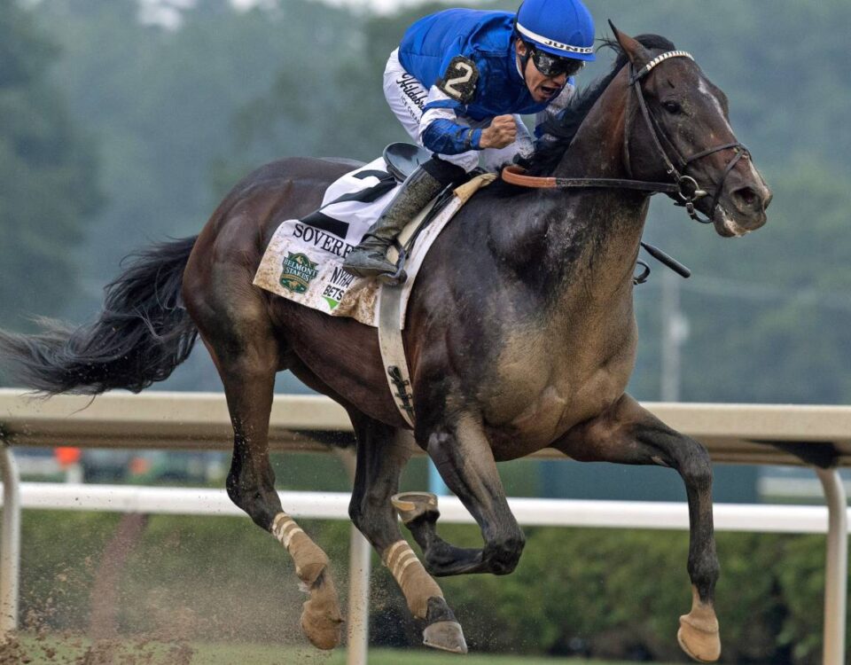 Sovereignty - Barbara D. Livingston - Daily Racing Form