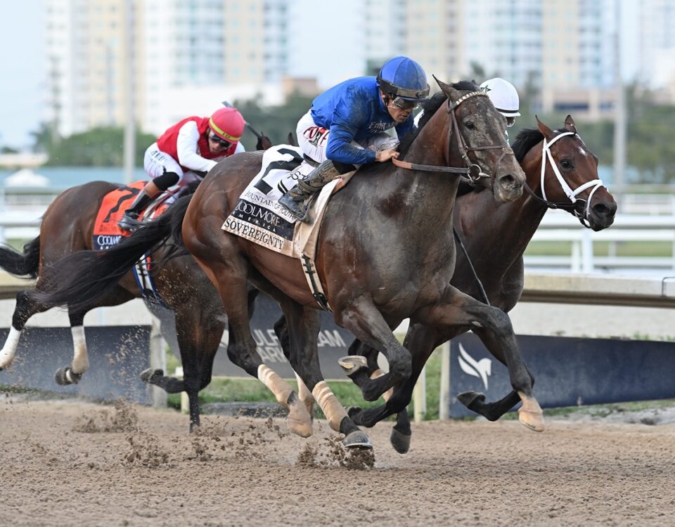 Sovereignty - Fountain of Youth Stakes G2 - Lauren King/Coglianese Photo
