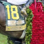 Sovereignty - saddle blanket with roses - Debbie Roma / Daily Racing Form