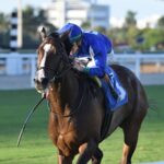 Summer Cause - H. Allen Jerkens - Ryan Thompson/Coglianese Photos