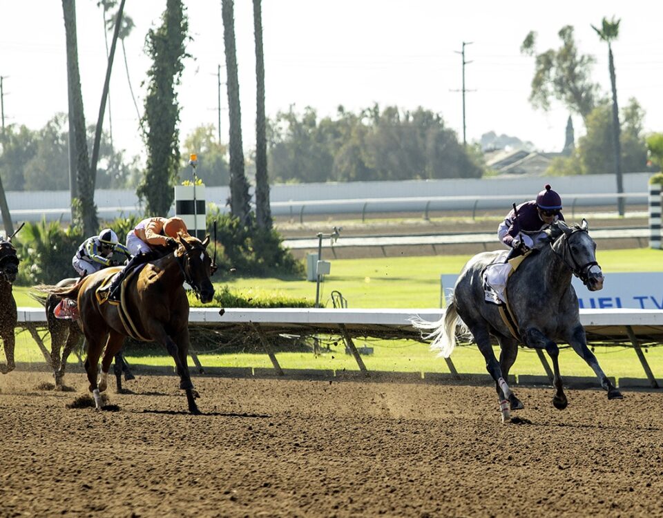 Los Alamitos - Thoroughbreds action - BENOIT PHOTO