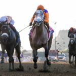 Ted Noffey - Barbara D. Livingston - Daily Racing Form