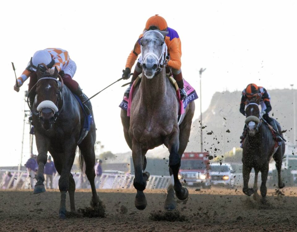 Ted Noffey - Barbara D. Livingston - Daily Racing Form