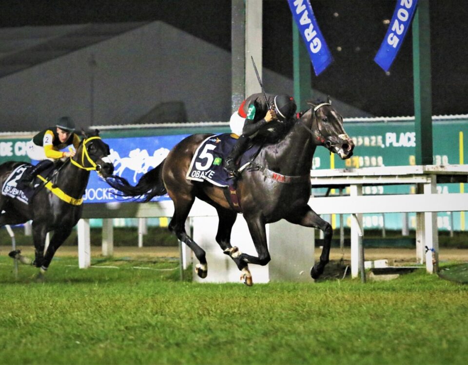 Obataye - Foto crédito: Prensa – Hipódromo San Isidro