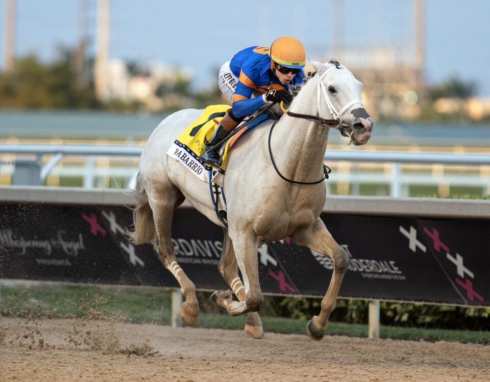 White Abarrio - Pegasus World Cup Invitational - Barbara D. Livingston - Daily Racing Form