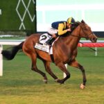 Wolfie's Dynaghost - Ft. Lauderdale Stakes G3 - Lauren King/Coglianese Photo