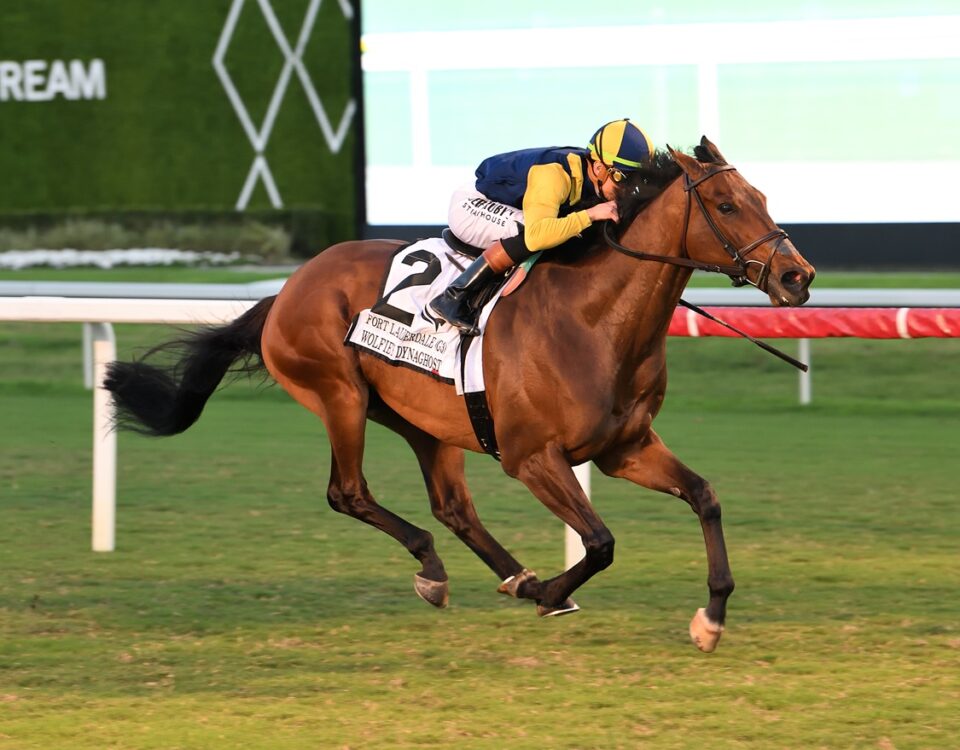 Wolfie's Dynaghost - Ft. Lauderdale Stakes G3 - Lauren King/Coglianese Photo
