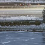 Woodbine Scenic - Julie Wright - Daily Racing Form