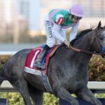 Arrogate - Pegasus World Cup 2017 - Barbara D. Livingston - Daily Racing Form