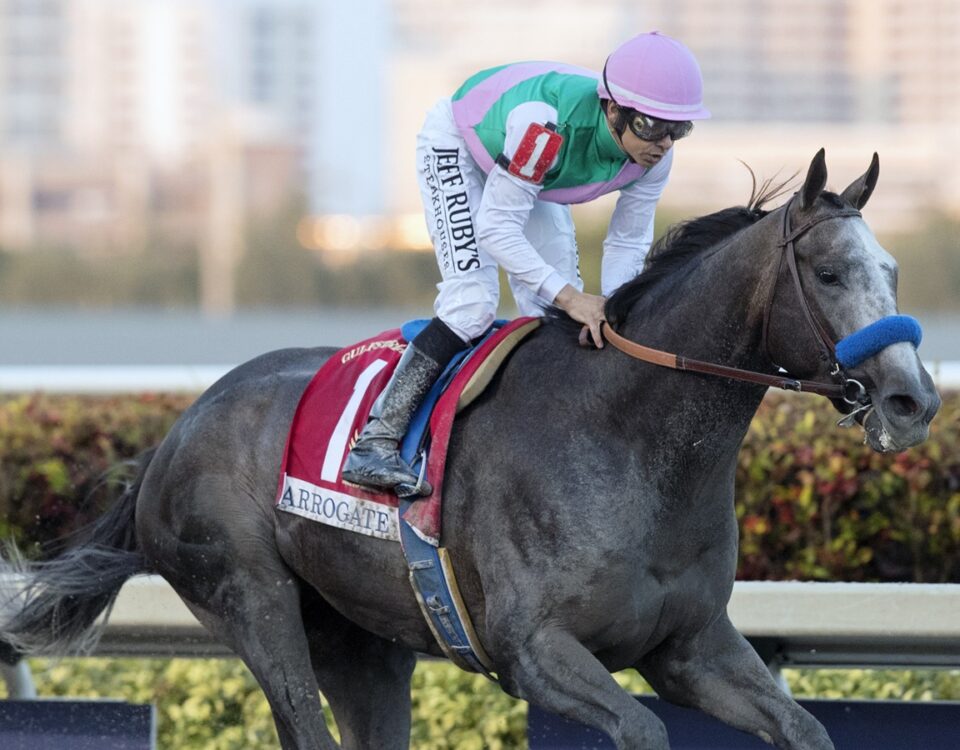 Arrogate - Pegasus World Cup 2017 - Barbara D. Livingston - Daily Racing Form