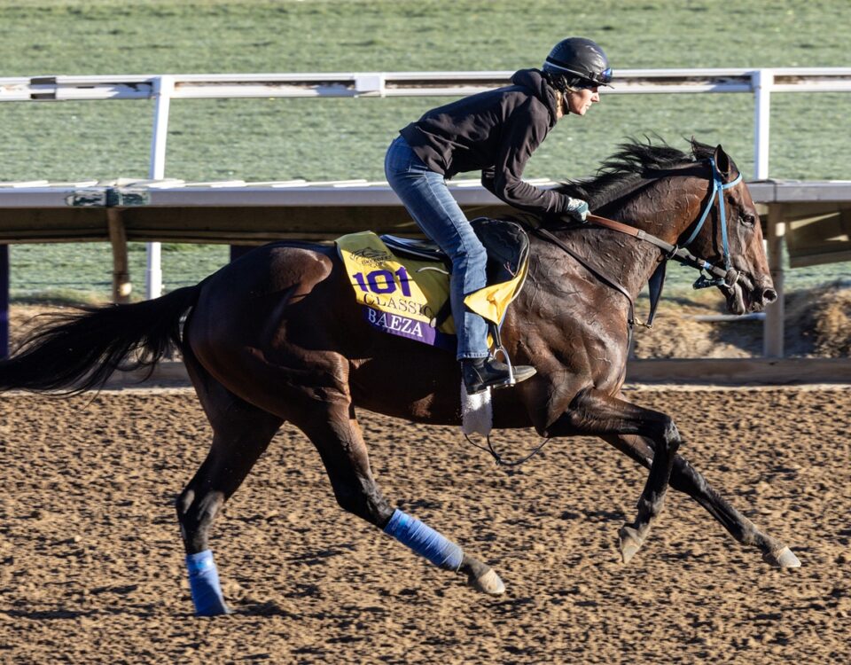 Baeza - Debbie Roma - Daily Racing Form