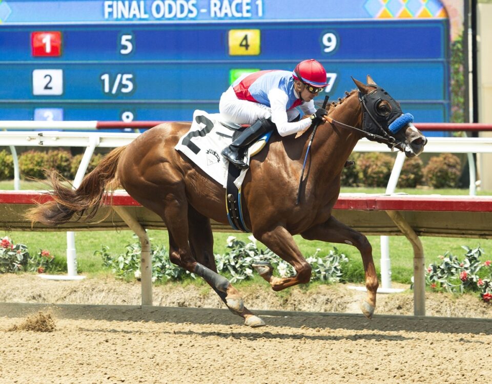 Buetane - Benoit Photo CA