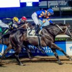 Chip Honcho - Hodges Photography - Fair Grounds