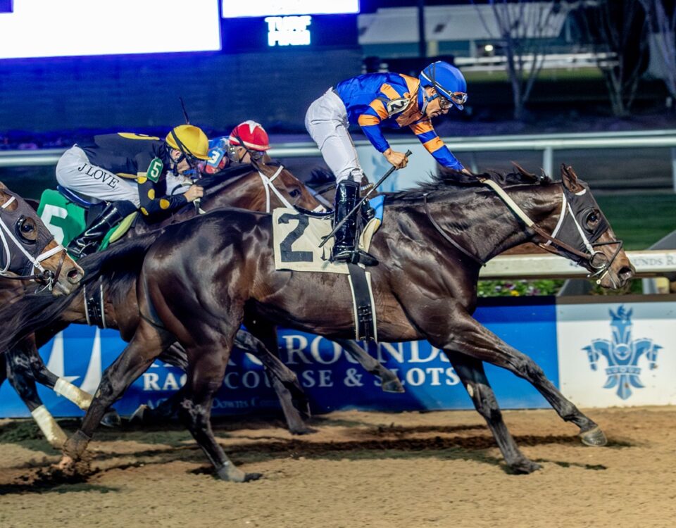 Chip Honcho - Hodges Photography - Fair Grounds